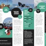 New brochure inside pages